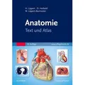 Anatomie