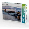Buhnen an der Ostseeküste (Puzzle)