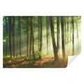 Wallarena Fototapete Wald Sonne Natur Landschaft Vlies Tapete Wohnzimmer Schlafzimmer, Glatt Vlies, Struktur Vinyl, Landschaft, Sonniger Wald, Tapete inklusive Kleister Vliestapete Motivtapete Wandtapete 3.12 m x 2.19 m