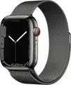 Apple Watch Series 7 45mm Cellular Edelstahl GRAPHIT Zustand: Sehr Gut