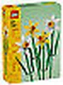 Lego Icons Flowers Butterfly 40747 Lego