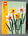 Lego Botanicals 40747 Narzissen - Neu & OVP