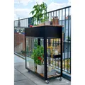 JULIANA Gewächshaus "Urban Vertical", BxT: 33 x 71 cm, 3 mm Sicherheitsglas - schwarz