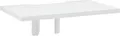 SMS Flatscreen X Conference Codec Shelf Wall weiß