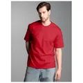 Trigema T-Shirt TRIGEMA T-Shirt DELUXE Baumwolle (1-tlg) rot XXL (58/60)