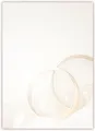 LYSCO Briefpapier Motivpapier Hochzeitsfeier, Ringe Hochzeit DIN A4, Romantik-Flair, beidseitig bedruckt-für alle Drucker geeignet