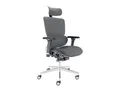 CLOUVOU MasterSeat Bürostuhl Ergonomisch – Anthrazit