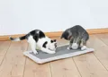 Katzen Kratzmatte Sisal mit Plüschrand Kratzspielzeug mit Spielball 55 x 35 cm