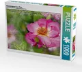 CALVENDO Puzzle Geburtstagsgruß an Rose 1000 Teile Puzzle quer | 1000 Teile Lege-Größe 64x48cm Foto-Puzzle für glückliche Stunden
