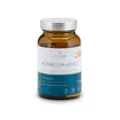 Vitalsee BOSWELLIA serrata 400 Extrakt