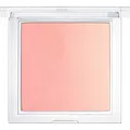 Ess. Blush Lighter Colorete 04