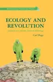 C. Boggs Ecology and Revolution (Taschenbuch) Environmental Politics and Theory