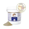 Equipur carotin 5000 g | Zuchtstuten und Deckhengste