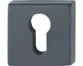 Rosettenpaar AnsaPro Thelon PZ eckig 53x53 mm schwarz matt