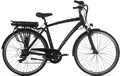 Adore E-Bike Trekkingrad Versailles, 7 Gang Shimano Tourney Schaltwerk, Kettenschaltung, Heckmotor, 374,4 Wh, Pedelec, Elektrofahrrad für Herren
