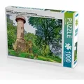 Ein Motiv aus dem Kalender Heidelberg - Heiligenberg und Philosophenweg (Puzzle)