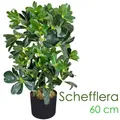 Schefflera Aralia Kunstpflanze Künstliche Pflanze Stahlenaralie 60 cm Decovego