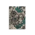 Chrysanthemum