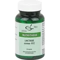 Laktase 12000 FCC, 60 St KAP