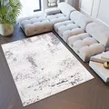 TAPISO Sky Teppich Kurzflor Modern Grau Beige Meliert Verwischt Design Wohnzimmer Schlafzimmer Used Effekt Muster Vintage ÖKOTEX 300 x 400 cm