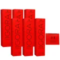 Schwarzkopf Igora Royal 6 x 60 ml 7-1 Mittelblond Cendre Haarfarbe Cremefarbe Se