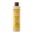 BIO Shampoo Salbei und Zitrone 200ml