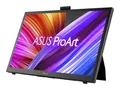 ASUS ProArt PA169CDV 35,6cm (15,6") Stift-Display