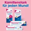 KAMISTAD Mundspülung 150 ml PZN 16623720