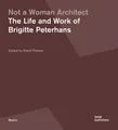 Not a Woman Architect, David L Fleener