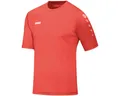 Jako Fußballtrikot 4233 Trikot Team KA