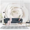 Bilderdepot24 Fototapete Rosen Pretty White Rose Blumen Natur Pflanzen Wanddeko, Glatt, Matt, (Vliestapete inkl. Kleister oder selbstklebend), Wohnzimmer Schlafzimmer Küche Flur Motivtapete Vliestapete Wandtapete weiß 3.84 m x 2.55 m