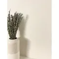 Newroom Vliestapete, Grau Tapete Modern Unifarbe - Universal Einfarbig Hellgrau Hellbeige Uni Struktur Monochrom für Wohnzimmer Schlafzimmer Küche grau