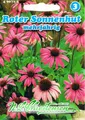 Roter Sonnenhut (Portion) (Echinacea purpurea), mehrjährig
