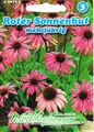 Roter Sonnenhut   Saatgut Samen  Heilpflanze 490725