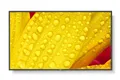 NEC MultiSync M651-2 65" Display