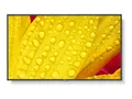 NEC MultiSync M651-2 - 165 cm (65") Diagonalklasse (163.9 cm (64.5")