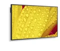 NEC MultiSync M651-2 Digital Signage Display 163,9 cm 65 Zoll