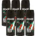 Axe Africa 6 x 150 ml Deodorant Deospray Deo Spray Set neues Design
