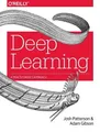 Josh Patterson Adam Gibson Deep Learning (Taschenbuch) (US IMPORT)