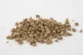 CAMP 4 Miscanthus Einstreu 8L für Trockentrenntoiletten