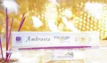 12er Räucherstäbchen Paket Holy Smokes AMBROSIA 120 g im Geschenkkarton