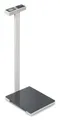 Badezimmerwaage MPK 200K-1P, Wägebereich 250 kg, Ablesbarkeit 100 g