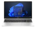 HP 250 G10, Silber, 15,6 Zoll, Full-HD, Intel N100, 8 GB, 256 GB #12609536