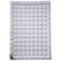 billerbeck Sommerbettdecke Sari, Füllung: 100% Seide (Tussah-Seide), Bezug: Baumwolle, Atmungsaktiv und leicht kühlend 155 cm x 220 cm