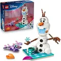 LEGO ǀ Disney Frozen Picknickspaß mit Olaf und Bruni - Schneemann Figur mit Picknickdecke und Zubehör - DIY Deko fürs Schlafzimmer - Geschenk f... - Bronze