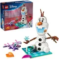 LEGO 43287 Disney Princess Picknickspaß mit Olaf und Bruni