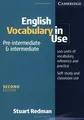 English Vocabulary in Use Pre-Intermediate  Intermediat... | Buch | Zustand gut