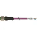 Murrelektronik M12-Steckerverbinder 7000-14061-8400300