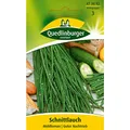 Schnittlauch Middleman (feinröhrig)