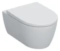 WC Set I-CON Wand-Tiefspül-WC mit Sitz 530x355mm, spülrandlos, weiss